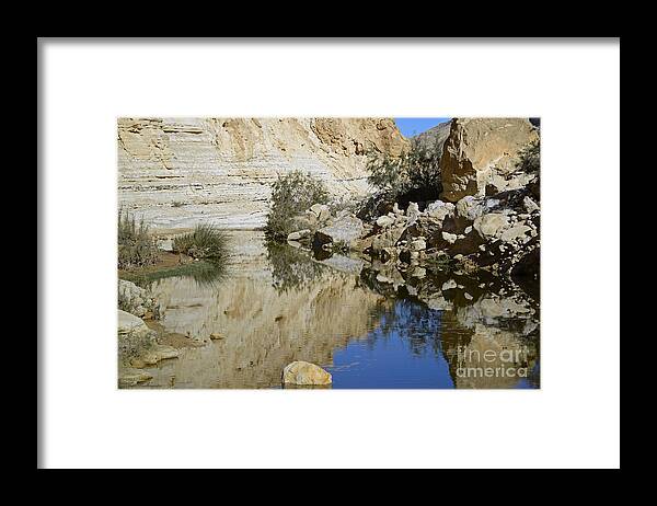 Water Framed Print featuring the photograph There is water in the desert 03 by Arik Baltinester