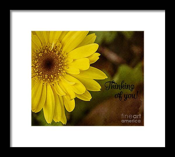 Daisy Framed Print featuring the photograph Thinking Of You by Arlene Carmel