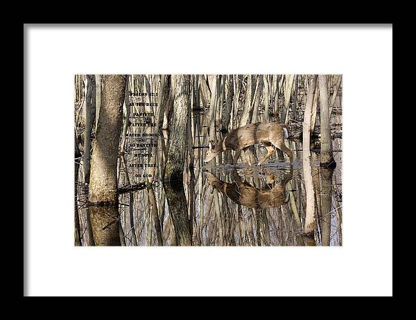 Deer Framed Print featuring the photograph Thirsty For God by Lorna Rose Marie Mills DBA Lorna Rogers Photography