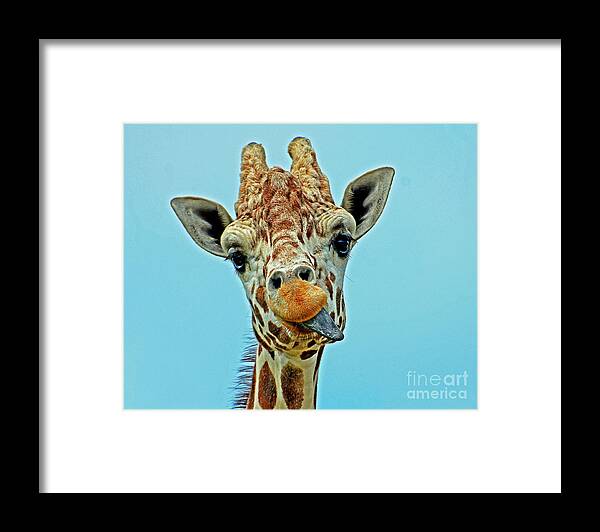 Giraffe Framed Print featuring the photograph Thirsty Giraffe by Rodney Campbell