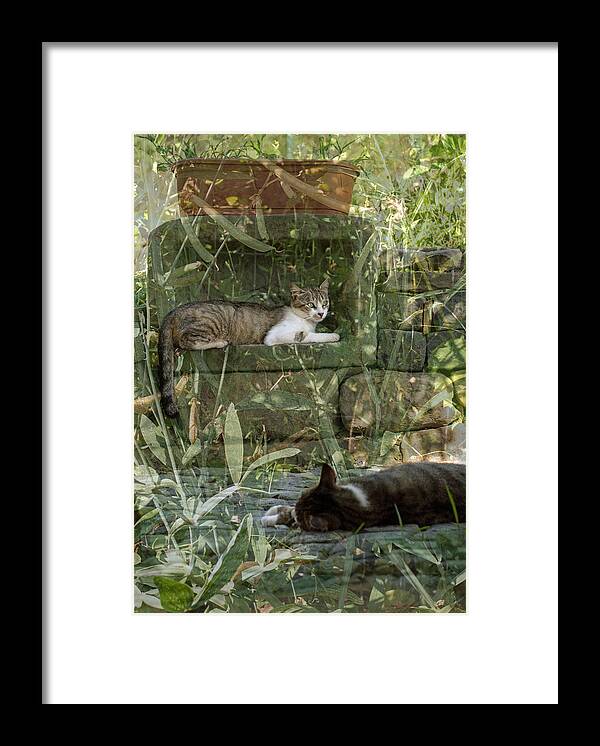 Thirty Two Degrees - Art Mccaffrey Framed Print featuring the photograph Thirty Two Degrees by Art Mccaffrey