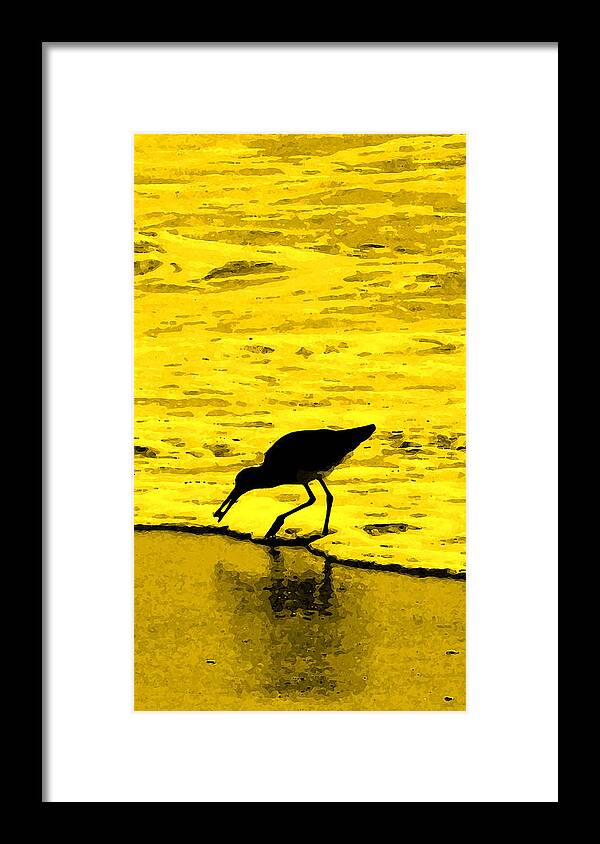 Florida Framed Print featuring the photograph This Beach Belongs To Me by Ian MacDonald