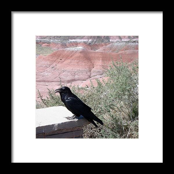 Raven Framed Print featuring the photograph This Raven Rocks by Susan Woodward