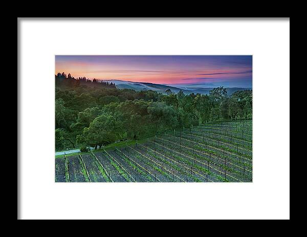 Scenics Framed Print featuring the photograph Thomas Fog-erty by Aaron Meyers
