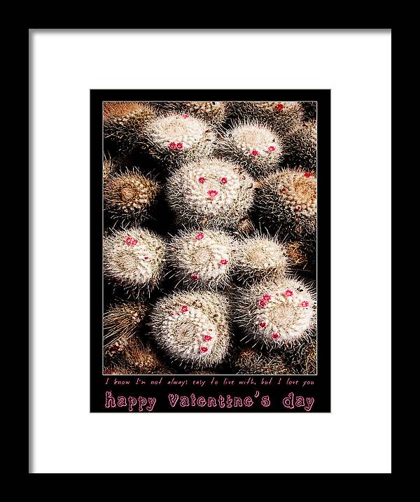 Valentine Framed Print featuring the photograph Thorny Valentine by Weston Westmoreland