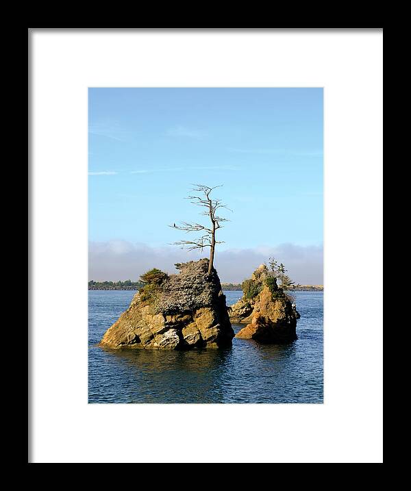 Three Graces Framed Print featuring the photograph Three Graces by Laureen Murtha Menzl