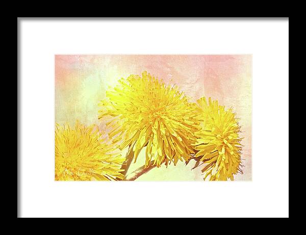 Flowers Framed Print featuring the photograph Three Simple Things by Bob Orsillo
