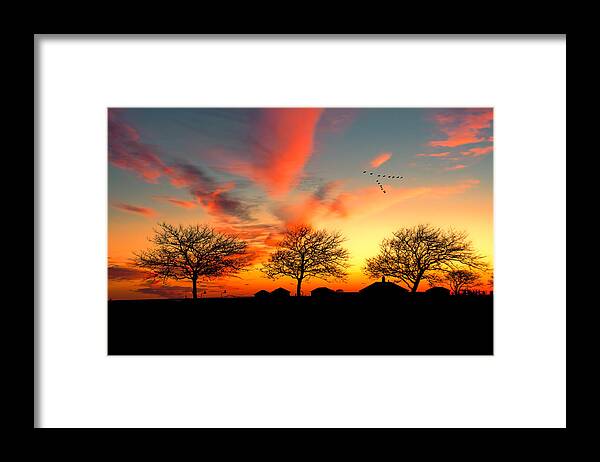 Sunset Framed Print featuring the photograph Three Trees In The Park by Cathy Kovarik