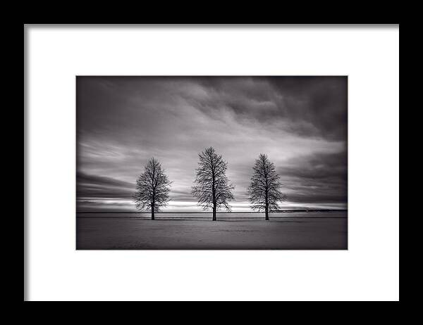 Black Framed Print featuring the photograph Three Trees by Steve Gadomski