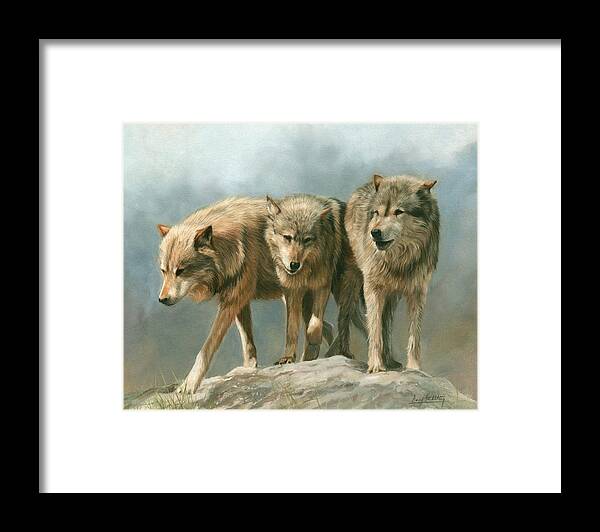 Wolf Framed Print featuring the painting Three Wolves by David Stribbling