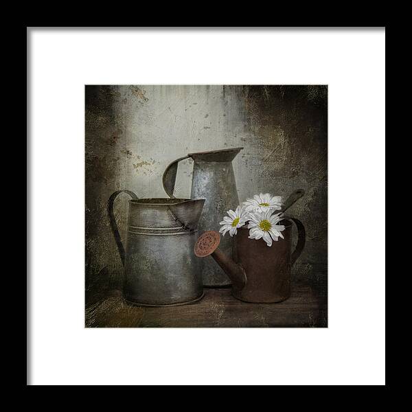 Daisies Framed Print featuring the photograph Three's Company by Robin-Lee Vieira