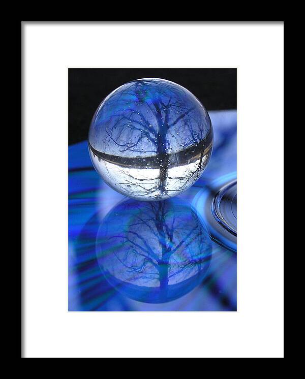 Tree Framed Print featuring the photograph Through The Looking Glass by Shannon Story