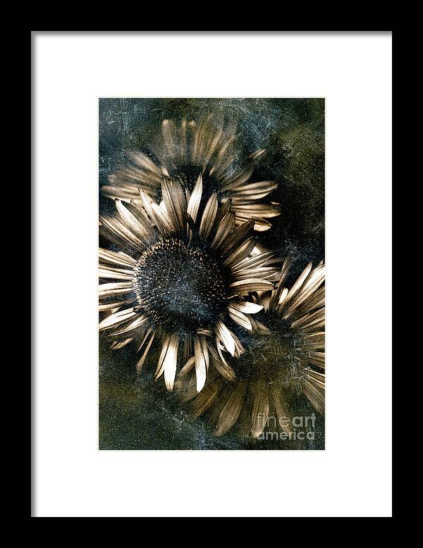 Abstract Framed Print featuring the photograph Through the Looking Glass by Venetta Archer