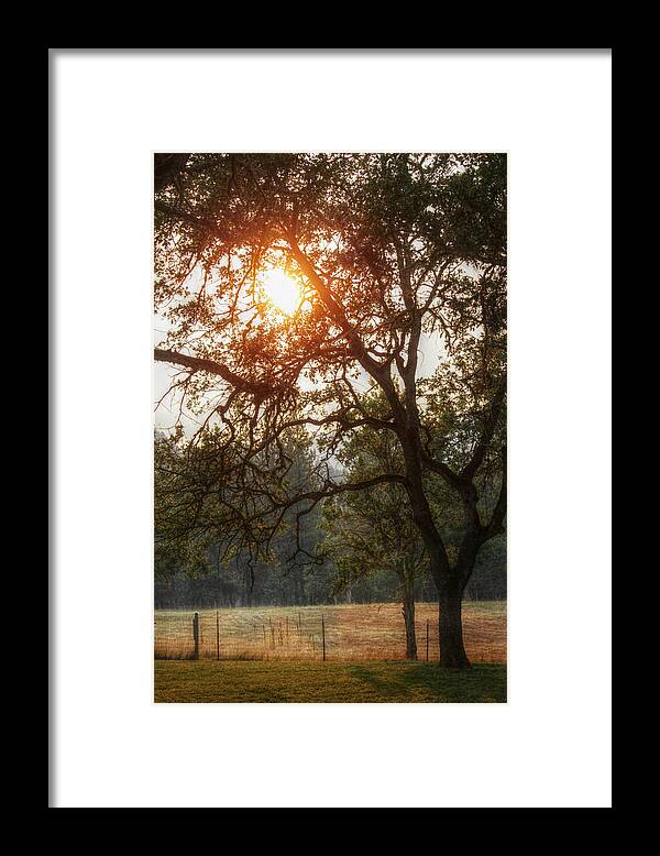 Sunset Framed Print featuring the photograph Through the Trees by Melanie Lankford Photography