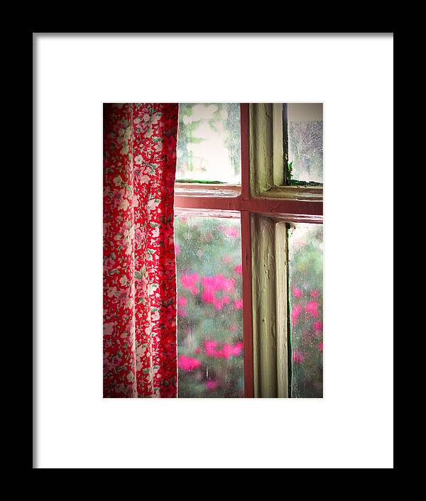 Window Framed Print featuring the photograph Through the Window by Lisa Chorny