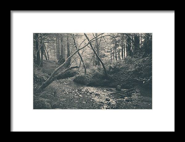 Purisima Creek Redwoods Open Space Preserve Framed Print featuring the photograph Through the Woods by Laurie Search