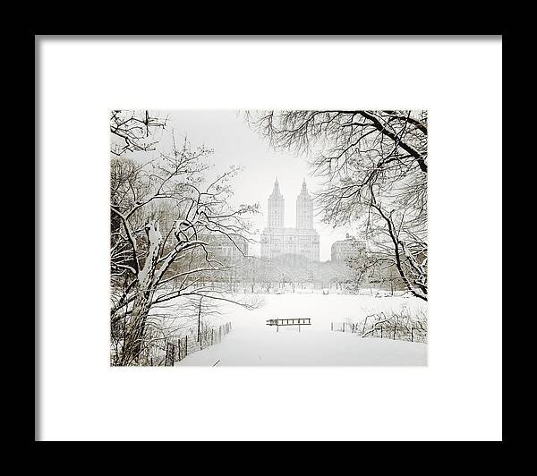 New York City Framed Print featuring the photograph Through Winter Trees - Central Park - New York City by Vivienne Gucwa