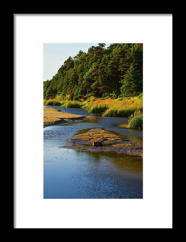 Tranquility Framed Print featuring the photograph Tidal Pool by James Emery