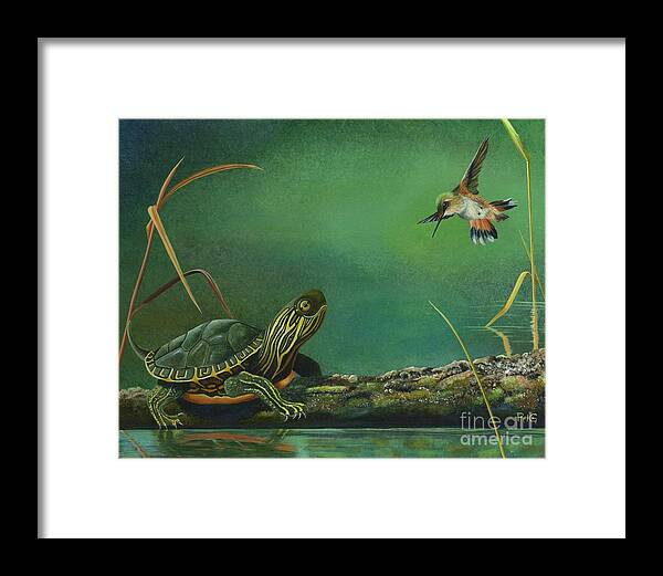 Rufous Hummingbird Framed Print featuring the painting Tiffany and Tyler by Rosellen Westerhoff