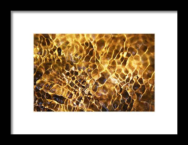Water Framed Print featuring the photograph Tiger Eye Reflection by James Knight