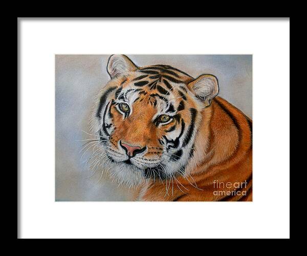 Tiger Framed Print featuring the painting Tiger by Irisha Golovnina