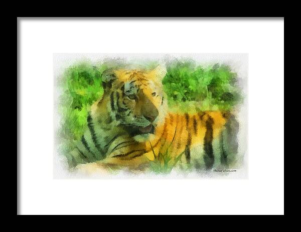 Feline Framed Print featuring the photograph Tiger Resting Photo Art 01 by Thomas Woolworth