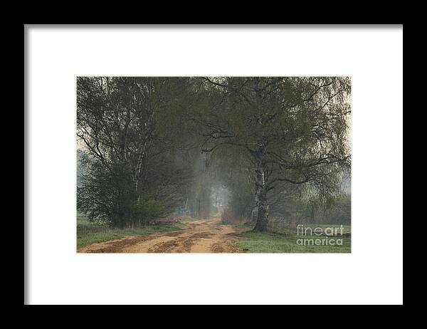 Trees Framed Print featuring the photograph Time for good shoes in the nature by Four Hands Art