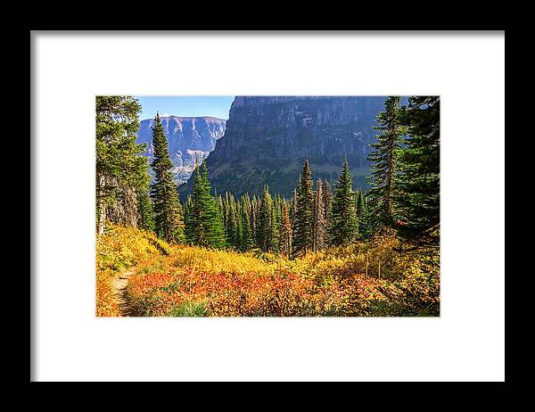 Fall Colors Framed Print featuring the photograph Timeless colors of nature by Rohit Nair