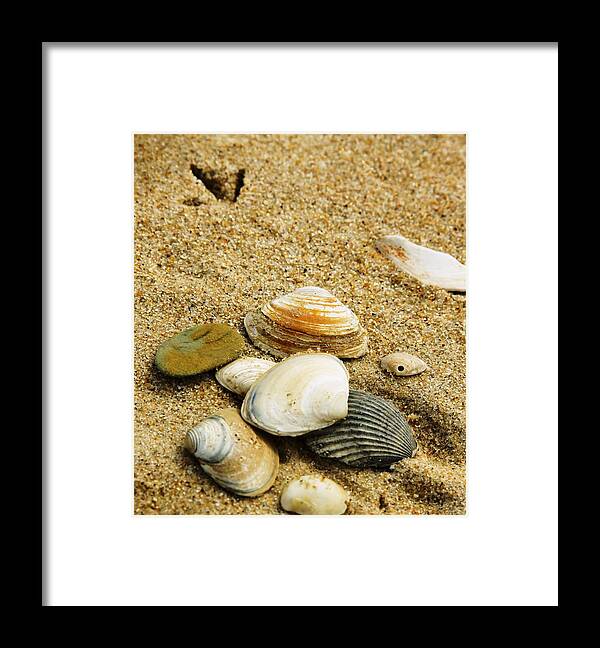 Love-n-life Studios Framed Print featuring the photograph Tiny Footprint by Theresa Johnson