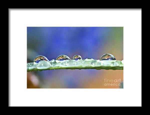 Drop Framed Print featuring the photograph Tiny waterdrops and a leaf by Heiko Koehrer-Wagner