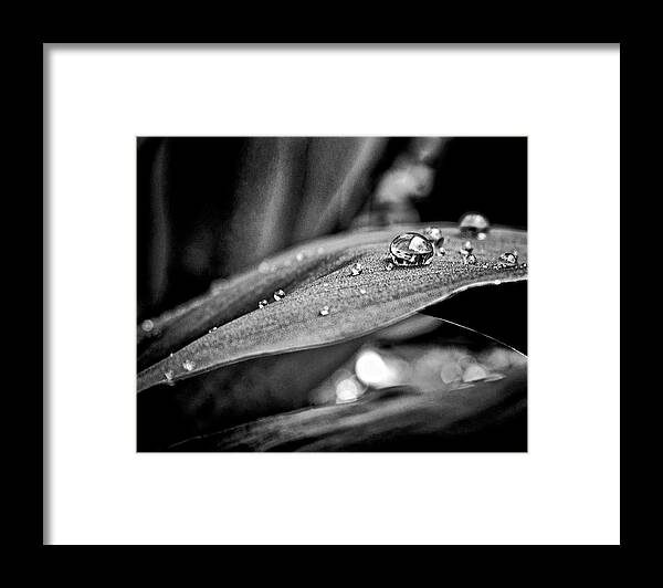 Abstract Framed Print featuring the photograph Tiny Worlds 3 by Brian Carson