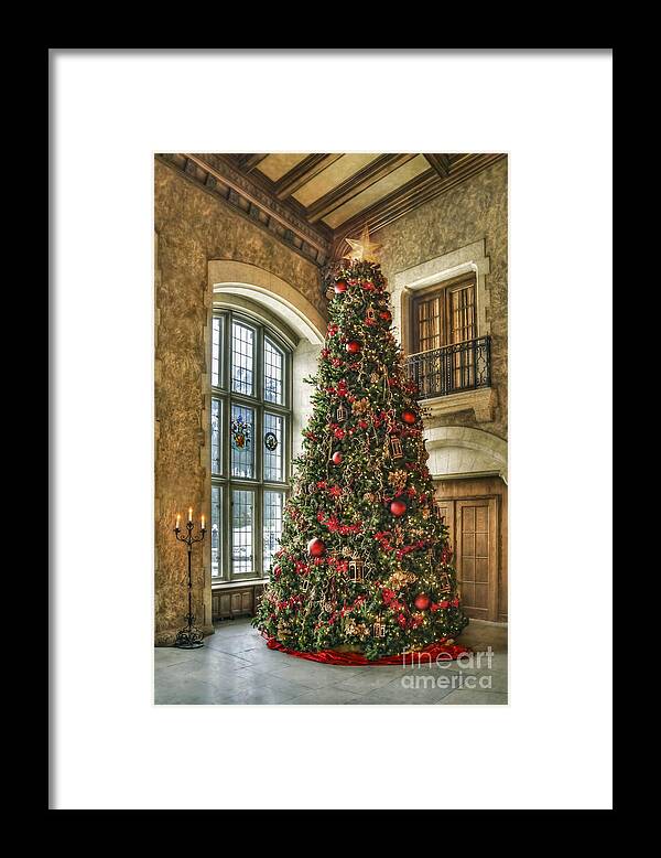 Christmas Framed Print featuring the photograph Tis The Season by Evelina Kremsdorf