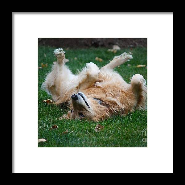 Dog Framed Print featuring the photograph To Be A Dog by Veronica Batterson
