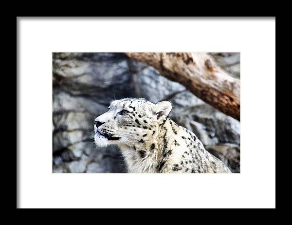 Eyes Framed Print featuring the mixed media To Be Or Not To Be by Angelina Tamez