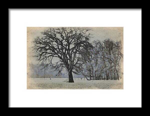 Mixed Media Painting Framed Print featuring the photograph To Stand Alone by Bonnie Bruno