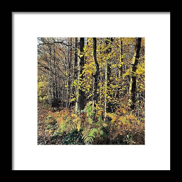 Squirrell Framed Print featuring the photograph To The Woods by Nic Squirrell