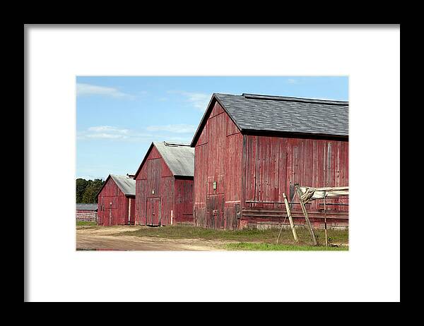 Tobacco Framed Print featuring the photograph Tobacco Barns in Windsor Connecticut by Carol M Highsmith