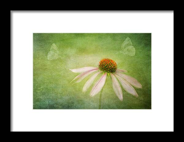 Echinacea Framed Print featuring the photograph Today I Choose Joy by Marina Kojukhova