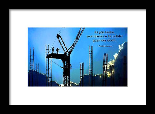 Quotation Framed Print featuring the photograph Tolerance for BS by Mike Flynn