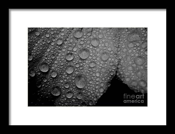 Complete Happiness Framed Print featuring the photograph Total And Complete Happy by Steven Macanka