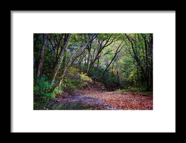 Arkansas Framed Print featuring the photograph Touch of Fall by Lana Trussell