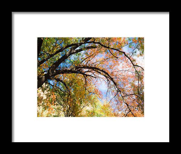 Chinese Pistachios Framed Print featuring the photograph Touch of Fall by Tamara Becker