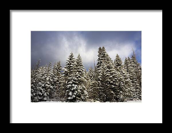 Winter Framed Print featuring the photograph Touch of Winter by Beve Brown-Clark Photography