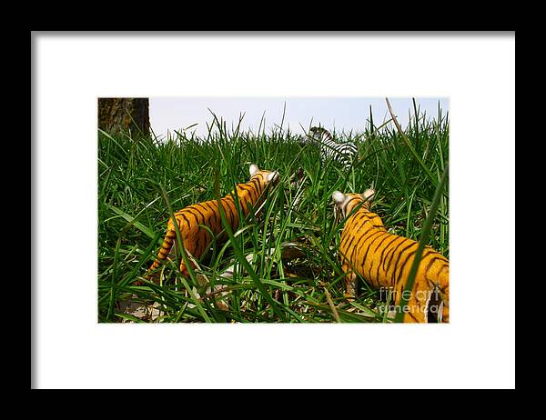 Toy Framed Print featuring the photograph Toy Tiger Hunt by Kristy Jeppson