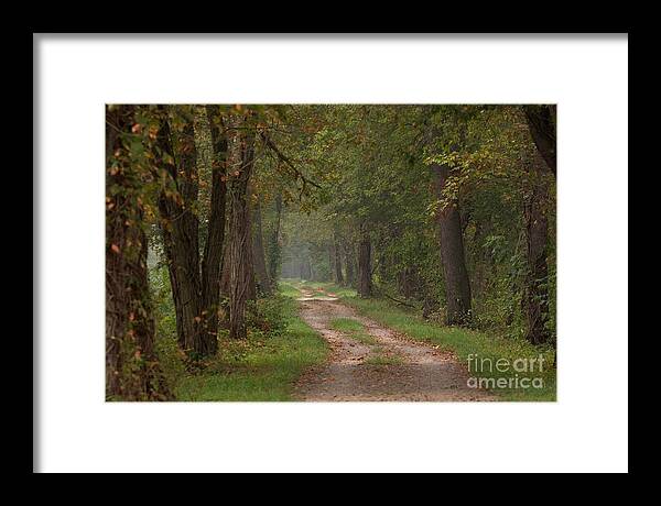 Trail Framed Print featuring the photograph Trail Along the Canal by Jeannette Hunt