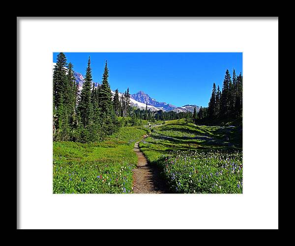 Trail Framed Print featuring the photograph Trail to Mazama Ridge by Lynn Hopwood