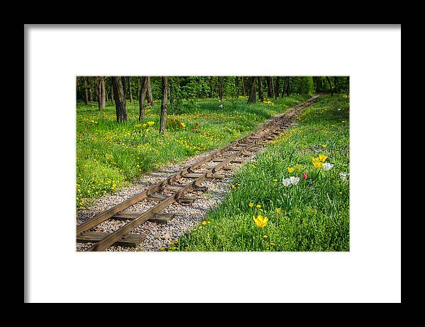 Railroad Framed Print featuring the photograph Train Tracks Through Mystic Flower Forest by Andreas Berthold