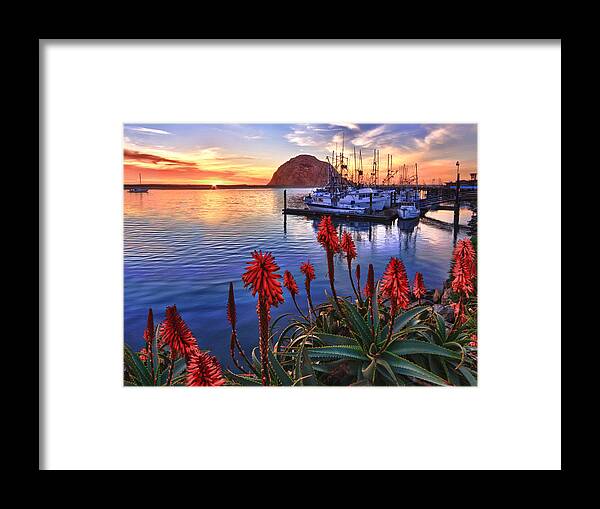 Morro Bay Framed Print featuring the photograph Tranquil Harbor by Beth Sargent