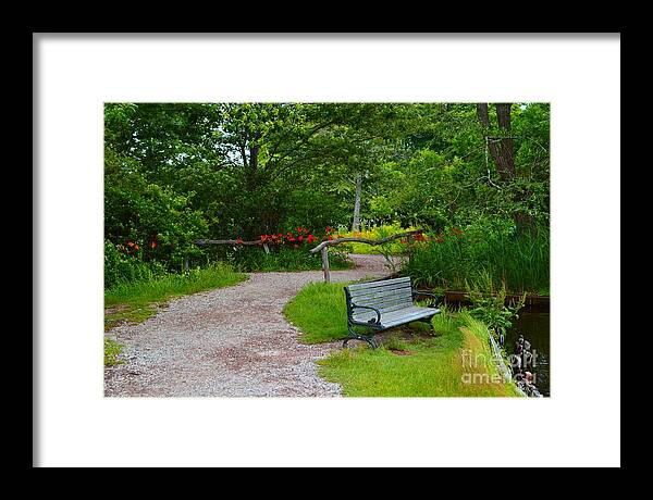 Nature Images Framed Print featuring the photograph Tranquility Path by Stacie Siemsen