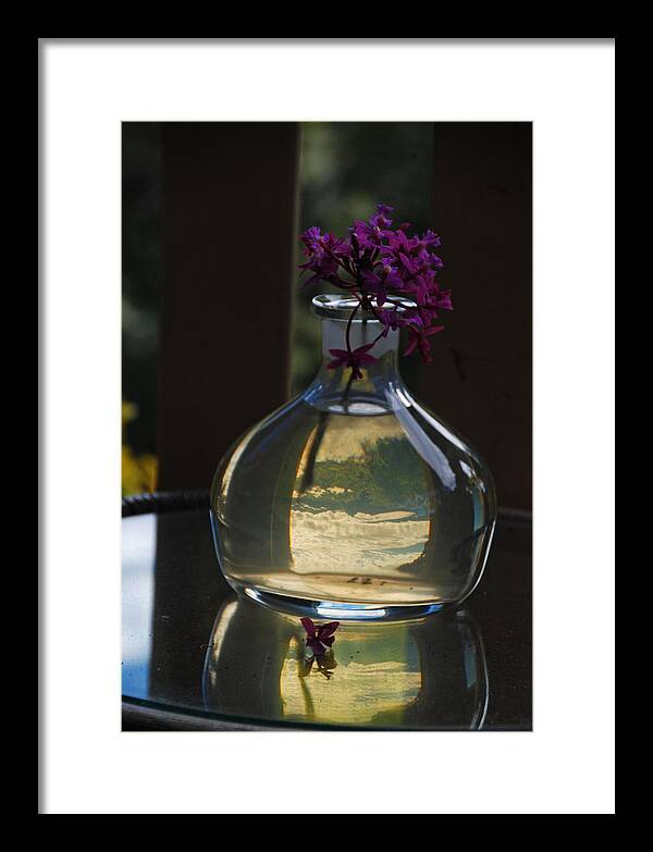 Australia Framed Print featuring the photograph Transparent Tranquility by Ankya Klay